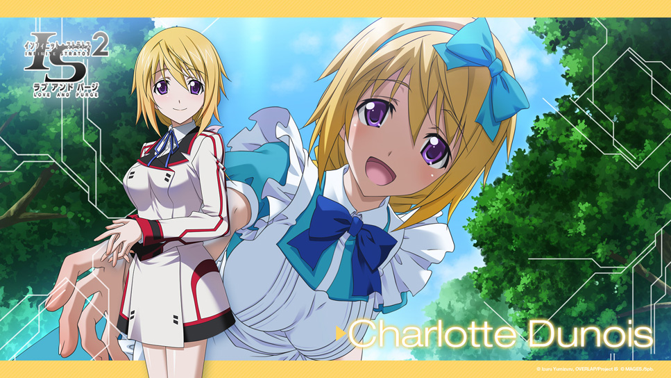 is2lp_wall_04charlotte_960x544.jpg