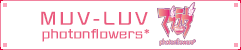 MUV-LUV photonflowers*